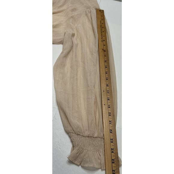 Torrid Chiffon L/S Blouse 3XL Button V-Neck Sheer Beige Gold Thread Academia - Picture 10 of 10